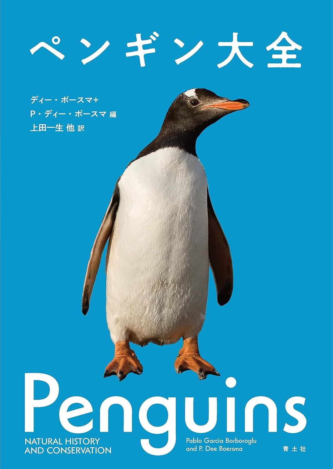 [専用出品]まぁーペンギン 専用出品]まぁーペンギン BESTEVER JAPAN