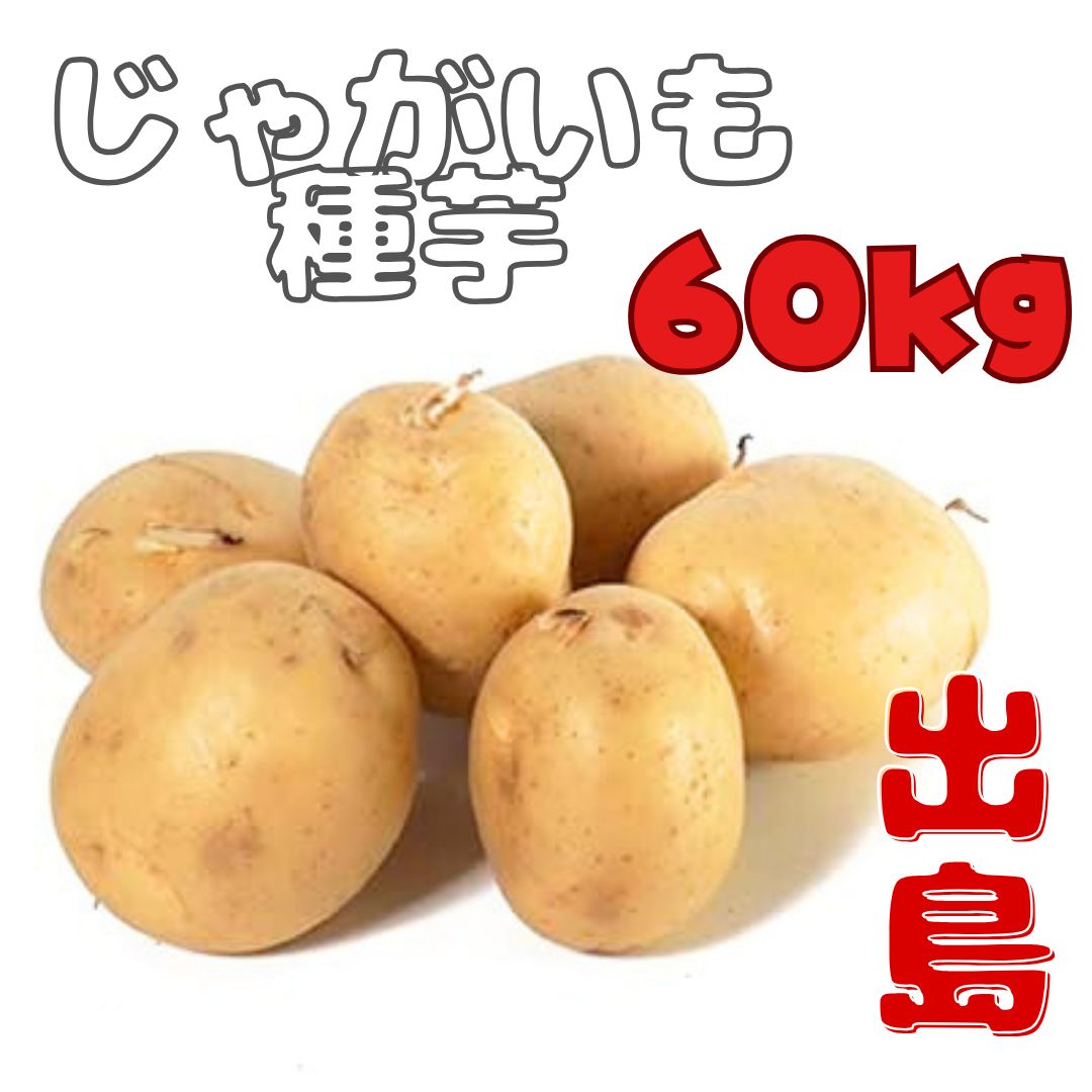 9月10日以降発送 じゃがいも種芋 デジマ サイズ混合 60キロ