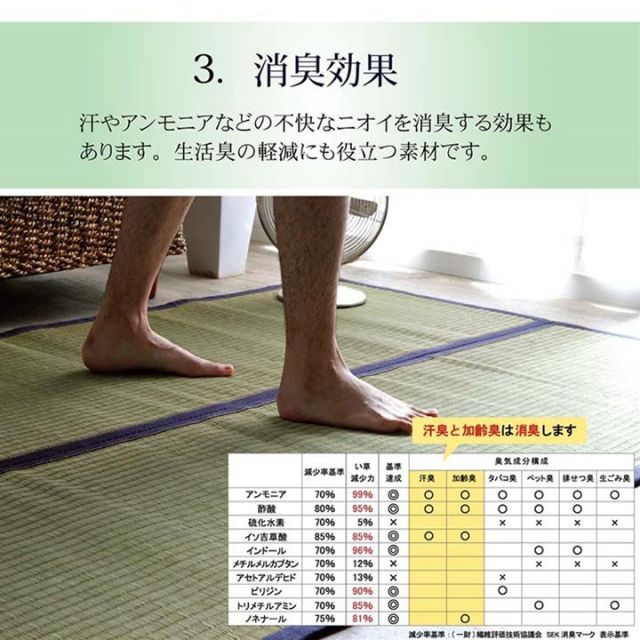 夏用 沖縄ビーグ