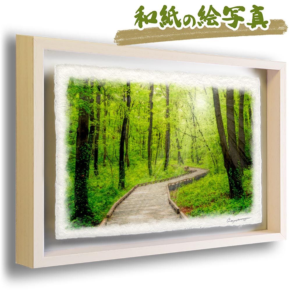 ①cherry 桜屋工業 ウィンザーチェア アームチェア オークレイチェア