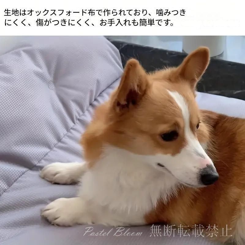冬