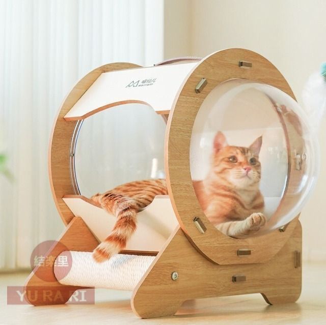 猫ハウス