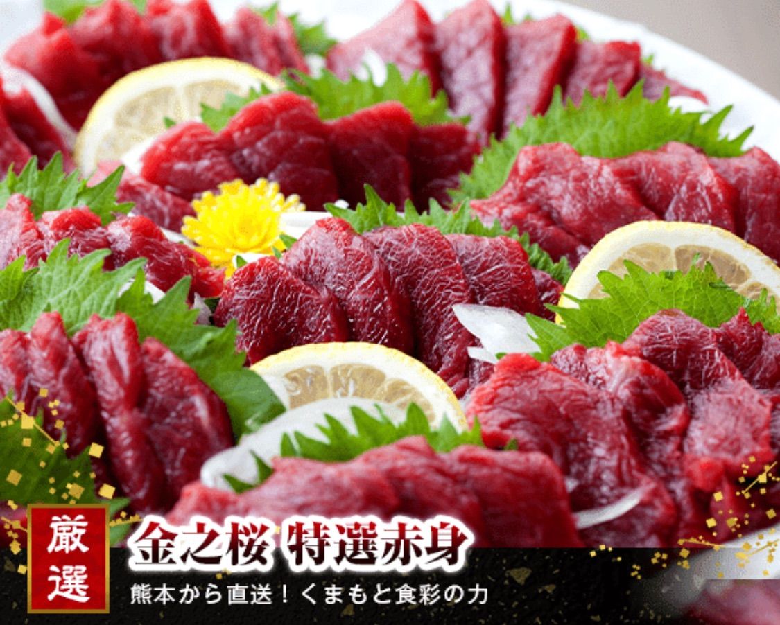 馬刺し 国産 熊本 赤身 約10人前 合計約500g 馬刺し おつまみ 厳選 馬肉 ばさし あかみ