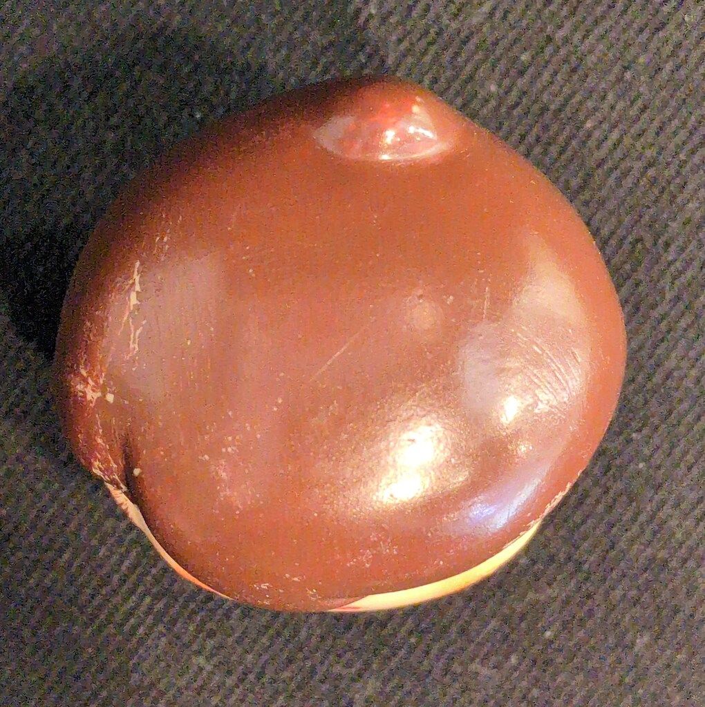 愛媛相互銀行 貯金箱 白泉社 女の子 青 80mm 80? - メルカリ