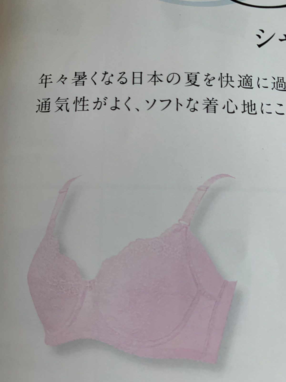 シャンデールシャイニーブラジャーピオニーC95