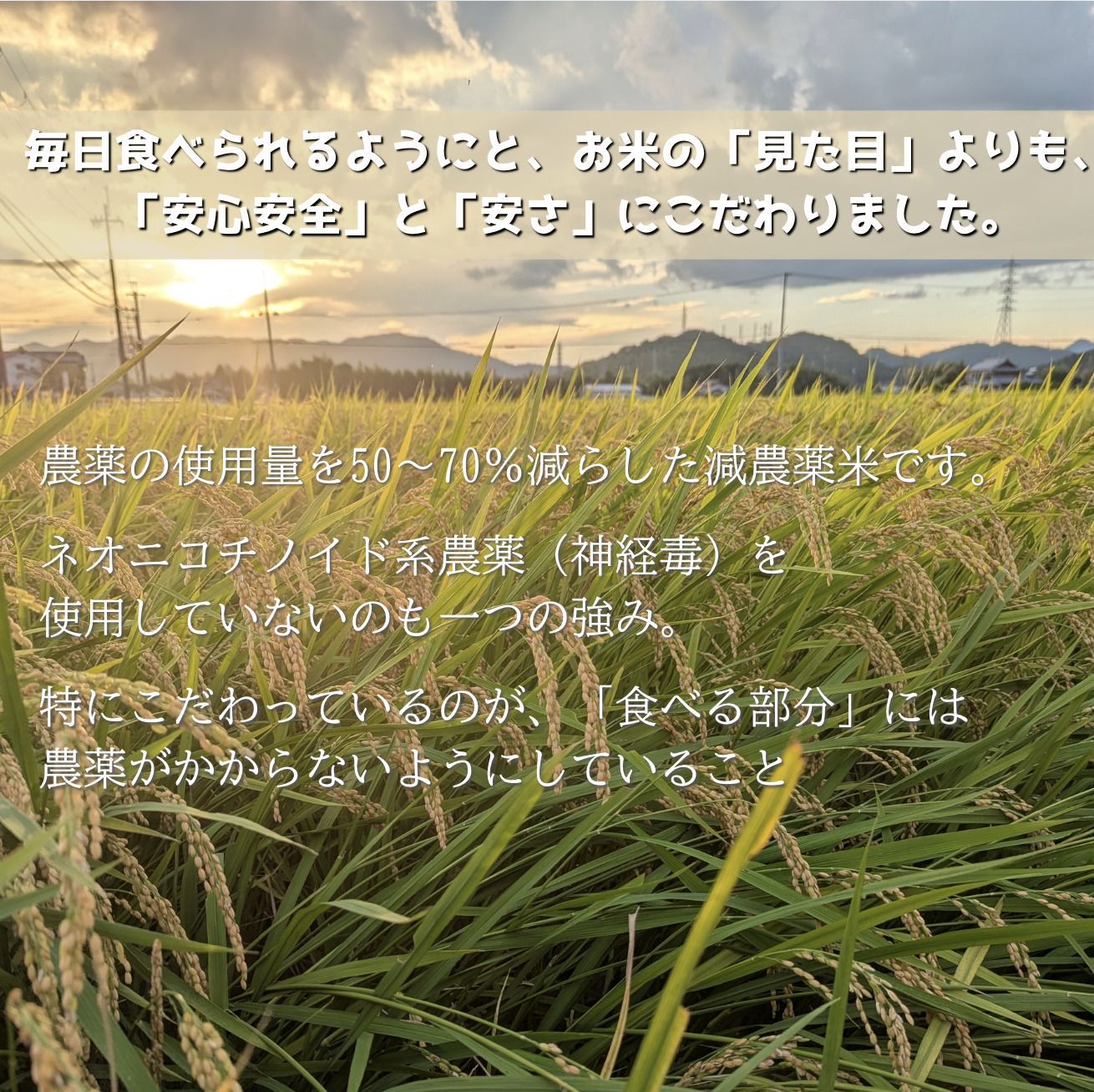 岡山ken様専用 Yoshi 様専用‼️ ◇岡山県重要無形文化財 森