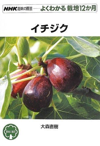 2025，新作 イチジク (NHK趣味の園芸 よくわかる栽培12か月) その他