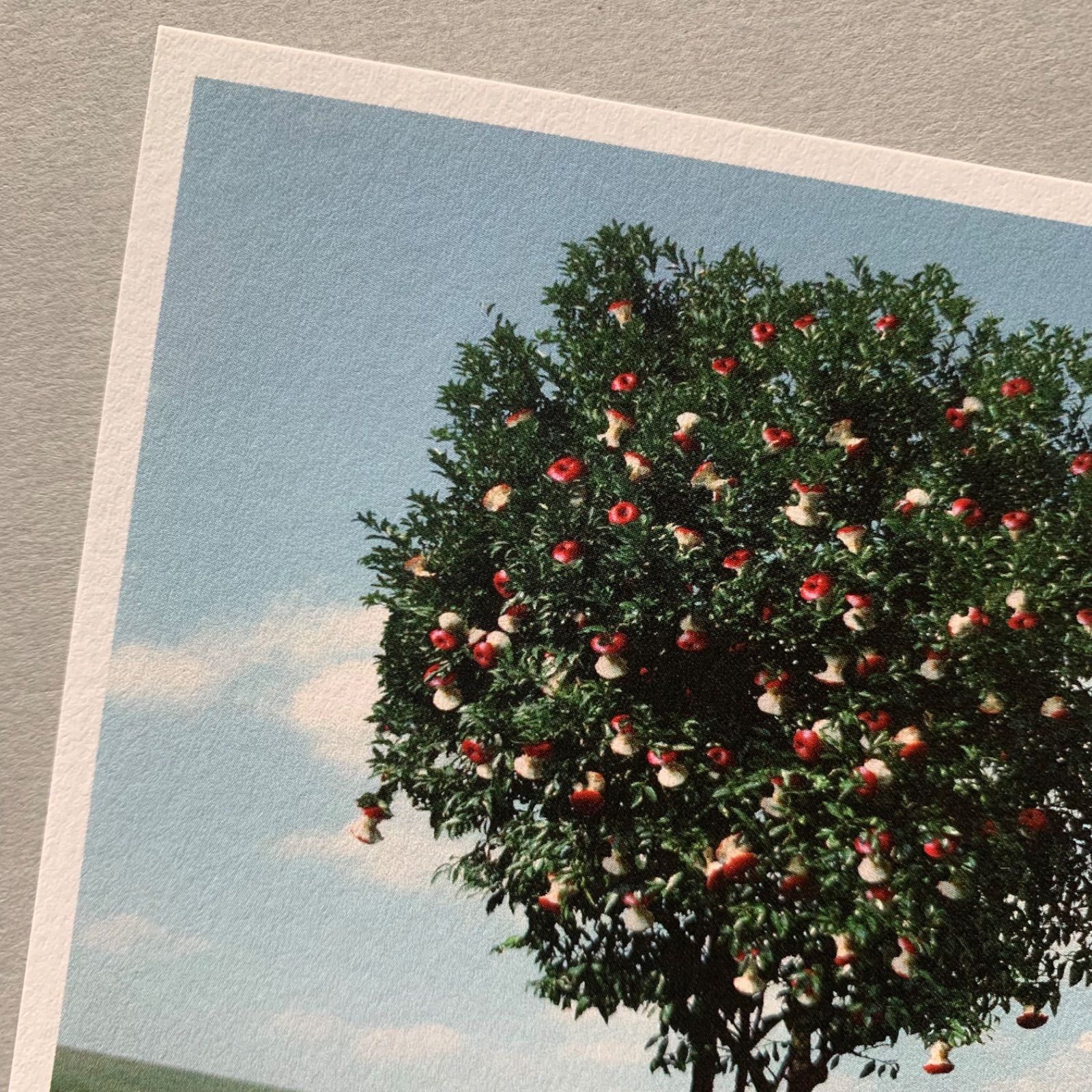 「Appled」ポストカード３枚セット　りんご　写真　ハガキ　白雪姫　アップル　景色-3