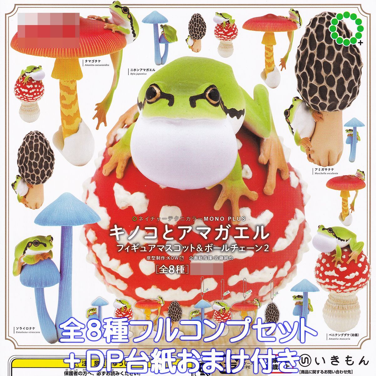 フルコンプカプセル ネイチャーテクニカラー MONO PLUS ウーパールーパーとベルツノガエルとアカメアマガエルとマルメタピオカガエル ボ カプセル ネイチャーテクニカラーmonoの通販