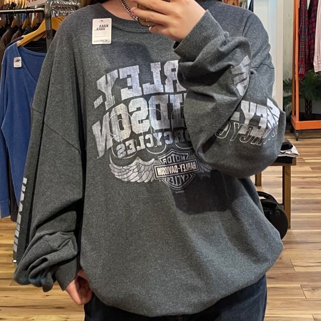 希少 HARLEY DAVIDSON ロンT ハーレーダビッドソン 2XL ② Harley Davidson - ハーレーダビッドソン ロンT LLサイズの通販