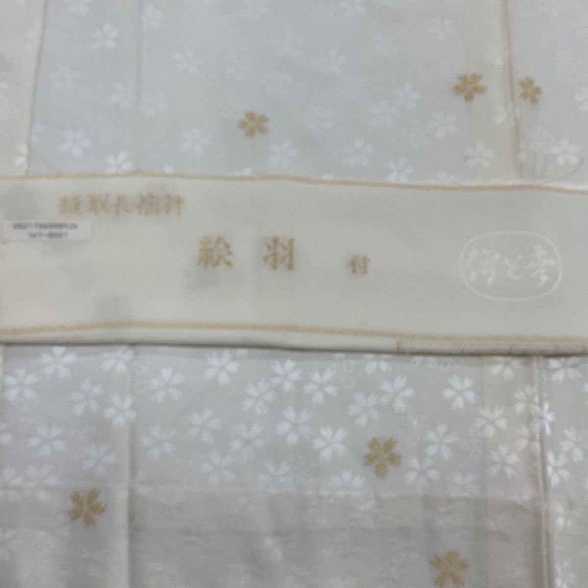 裄丈64cm