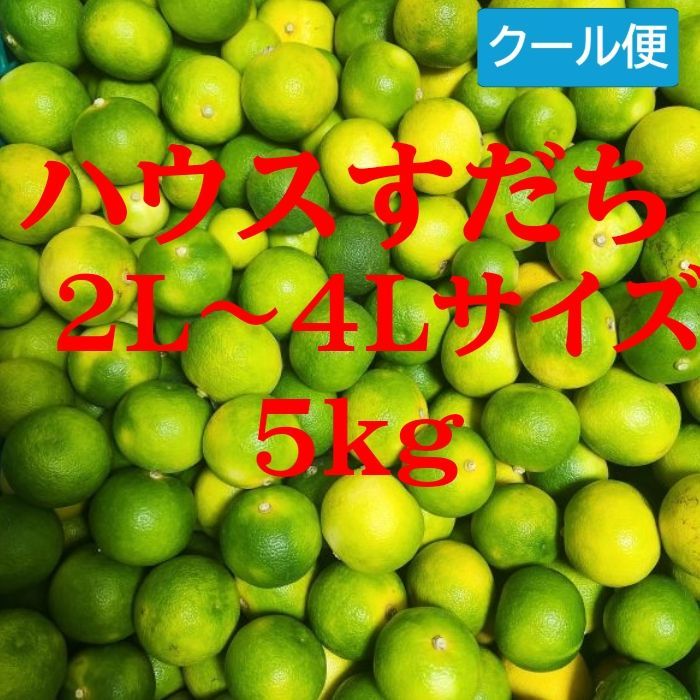 ハウススダチ 5キロ ハウスすだち 5キロ 【公式通販】