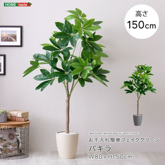 魚用品・水草 【たぬき様専用】エーハイム プロフェッショナル4+ 2271