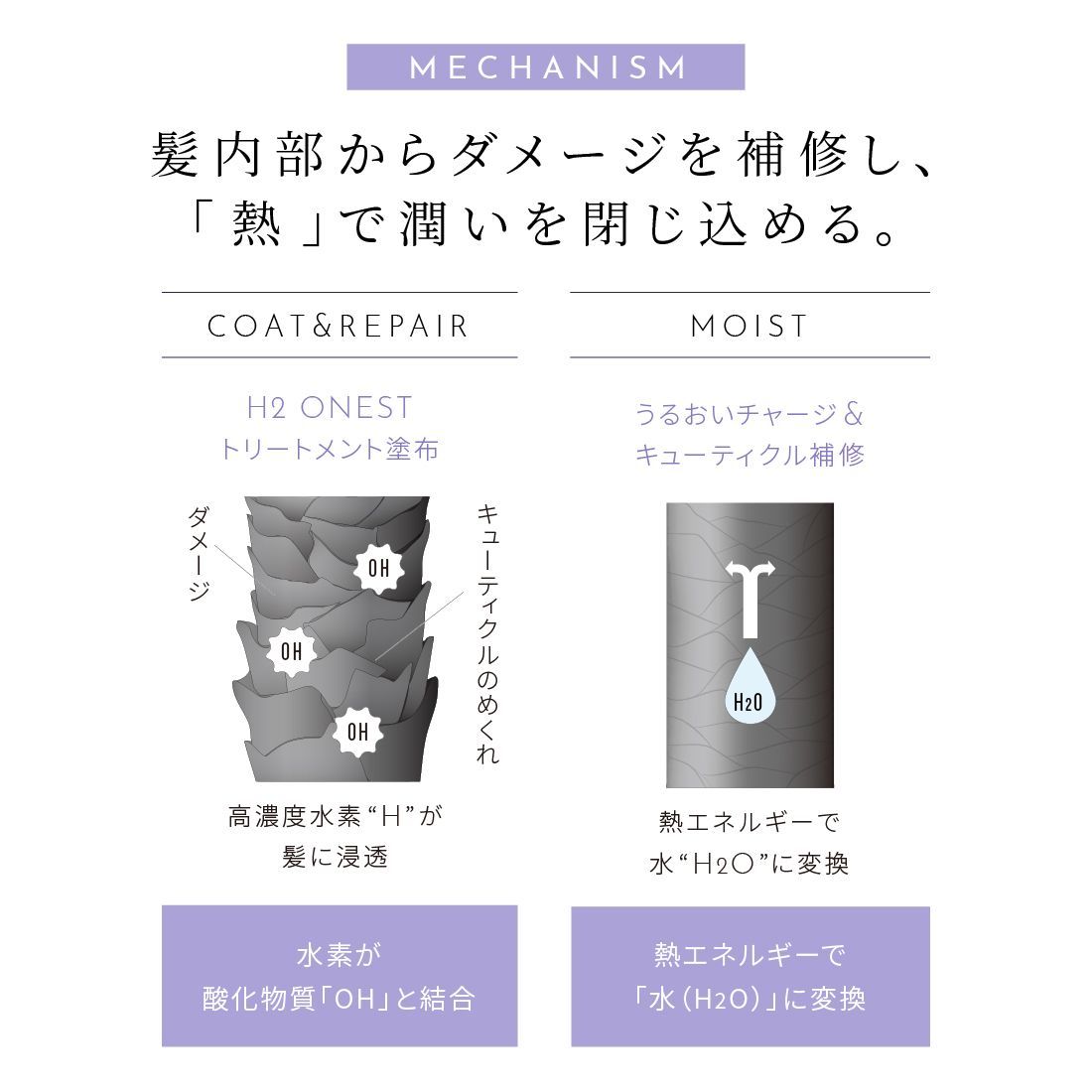 ONEST オネスト