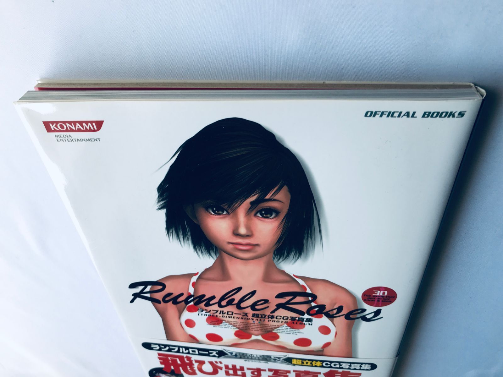 ランブルローズ 超立体CG写真集 帯 3Dメガネ(未使用) PS2 Rumble Rose 
