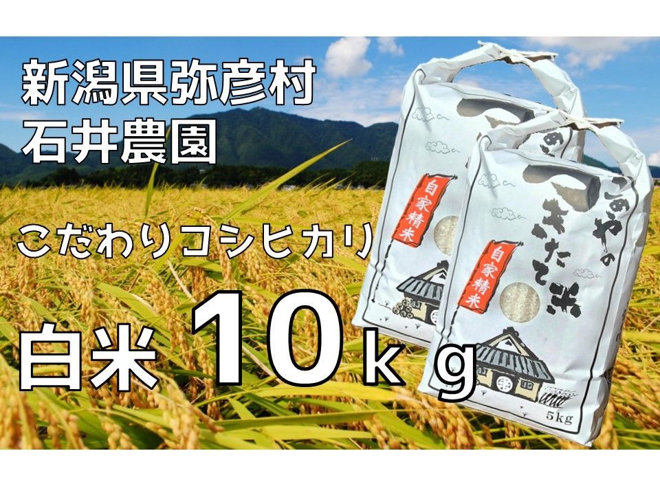 【新米・送料込み】新潟県弥彦村石井農園　令和6年（2024年）産コシヒカリ【白米 10kg】