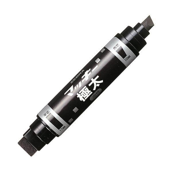 希少】大丸藤井セントラル（パイロット）万年筆 北の彩景事典第2弾