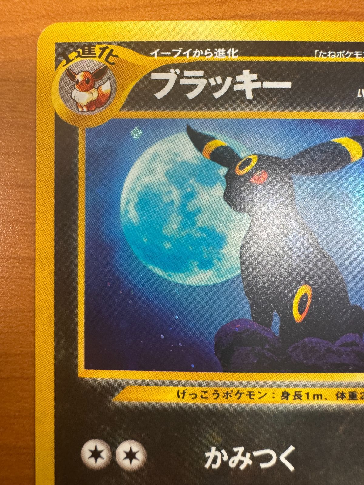 ポケモンカード 旧裏面 ブラッキー LV.40 No.197 ブラッキー LV 40 No 197 旧裏 ホロ ポケカ ポケモン ポケモン