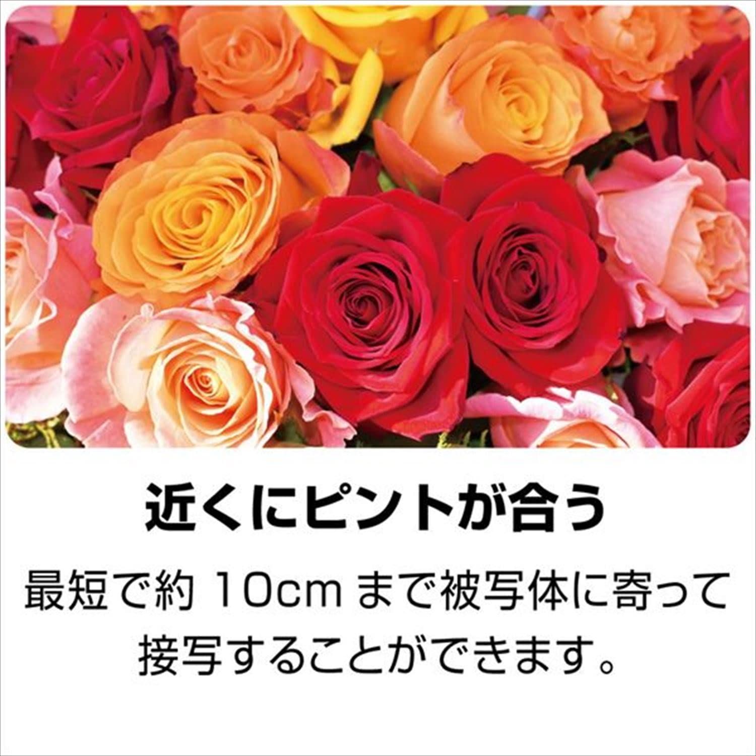 ケンコー KC-AF05