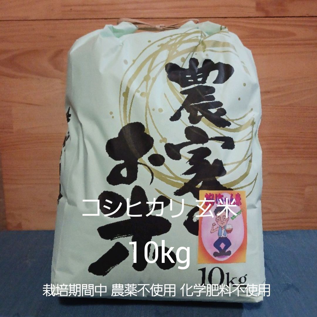 令和7年産 玄米 コシヒカリ 10kg 農薬不使用 化学肥料不使用 れんげ米