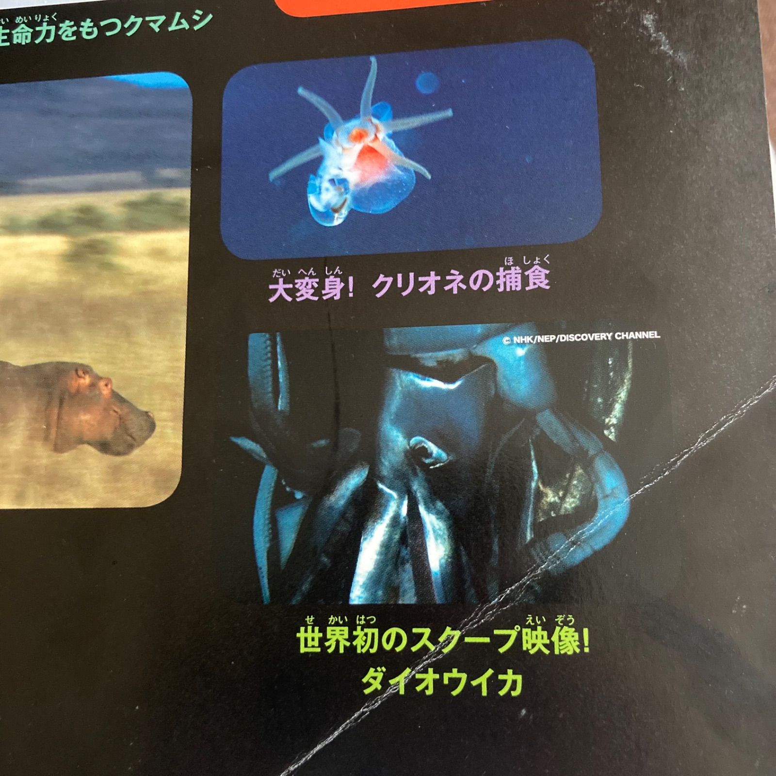 DVDつき7冊セット】「講談社の動く図鑑MOVE 魚 動物 植物 宇宙 昆虫