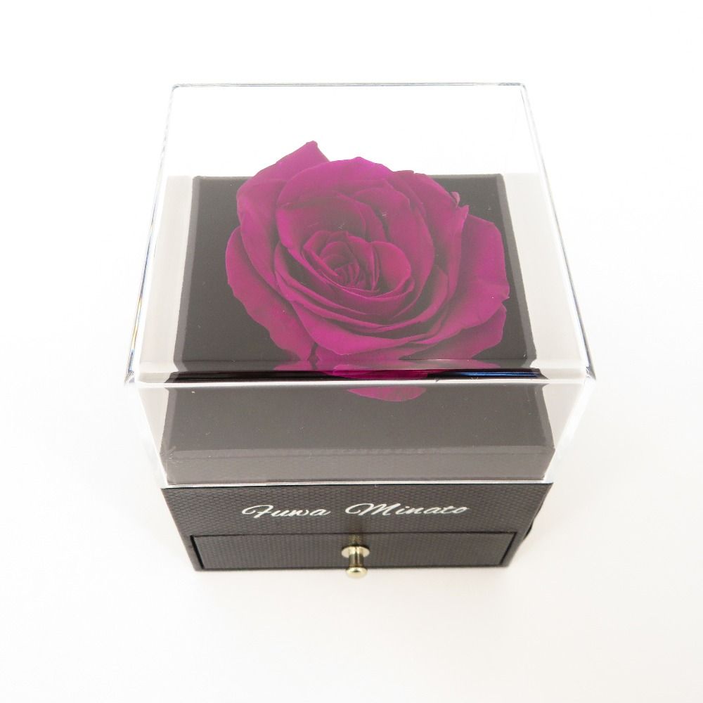 にじさんじ 不破湊 ローズジュエルライト リングライト　リンライ にじさんじ 不破湊 ローズジュエルライト リングライト リンライ