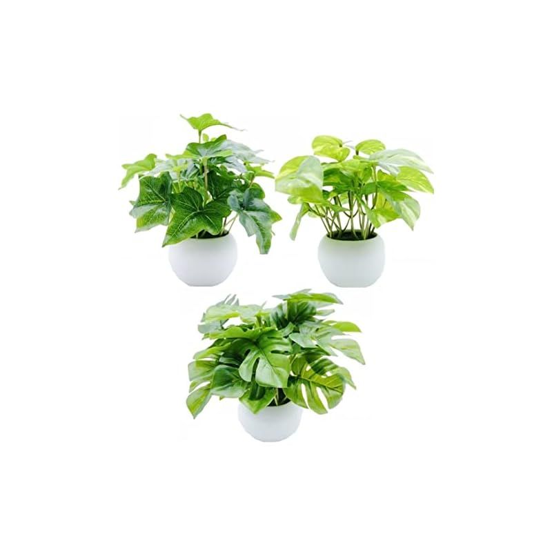 MedianField 観葉植物 光触媒 消臭 ＆ 抗菌 ウォールグリーン 3個