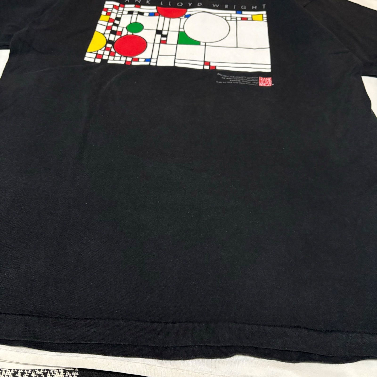 90s Fruit Of The Loom “FRANK LLOYD WRIGHT” S/S Graphic フルーツ 