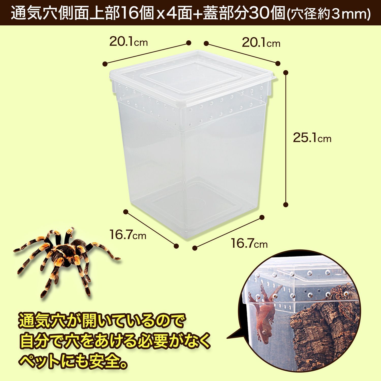 爬虫類昆虫類飼育 プラスチックケース 縦置 エサ皿設置可能 クリア 10個セット - メルカリ - 爬虫類、両生類用品