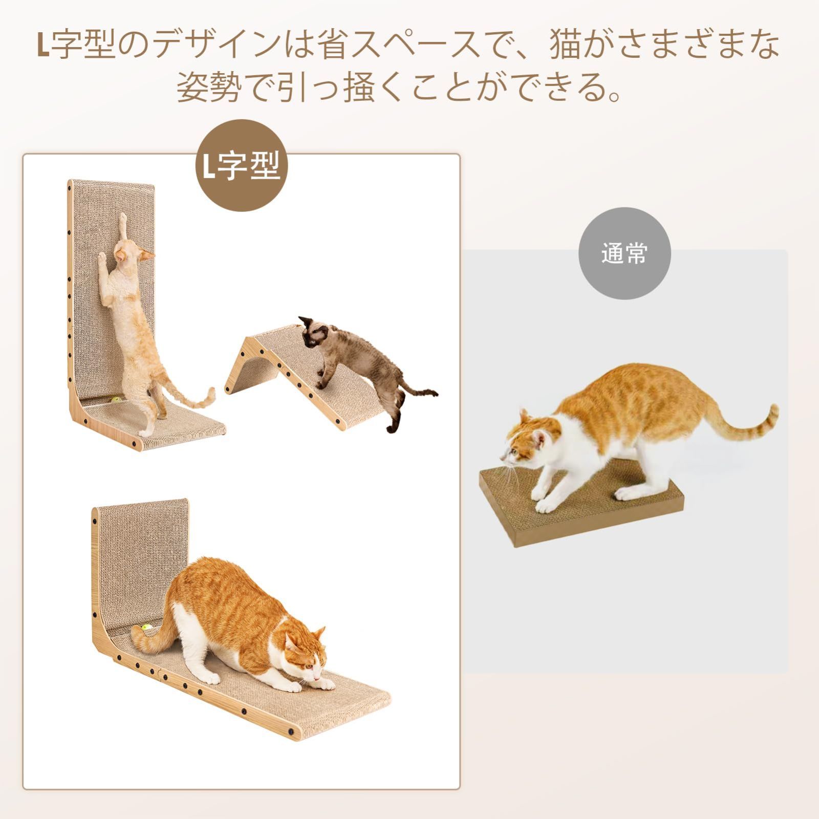 猫 猫