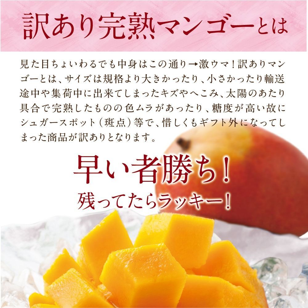 訳あり宮崎完熟マンゴー 900～1000g詰め 2～3玉 2025年 わけあり