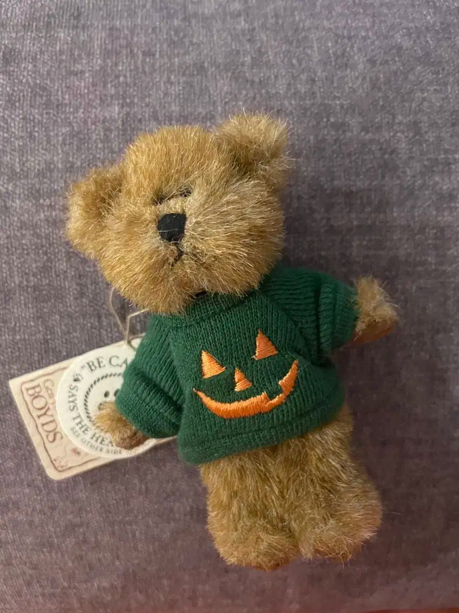 【雷市場（ポンジャン）商品韓国直送】 ボーイズベア 小さい ハロウィン カボチャ