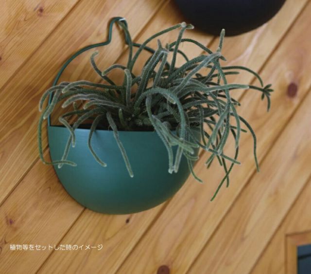 花 観葉植物用ポット プオリ ウォールハンギング 24 G HANGING 4個入り 35108 底穴なし パウダーコートスチール製 代引き不可 ハンキングポット 吊るしタイプ FARM p263 YUZUMIYA_COM