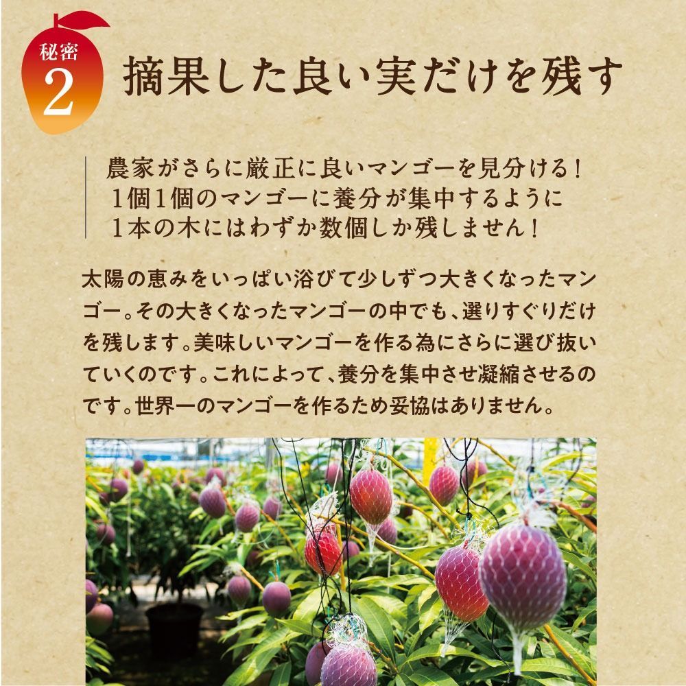 フルーツ