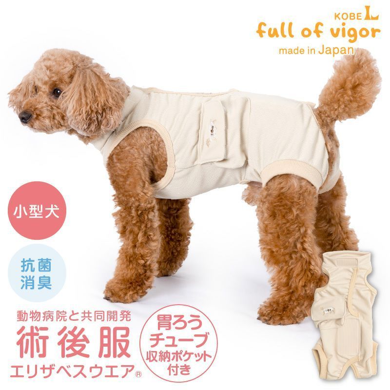 レア 高級 SUZUKI MD-6 マンドラ 弦楽器 リブ彫り ハードケース付き