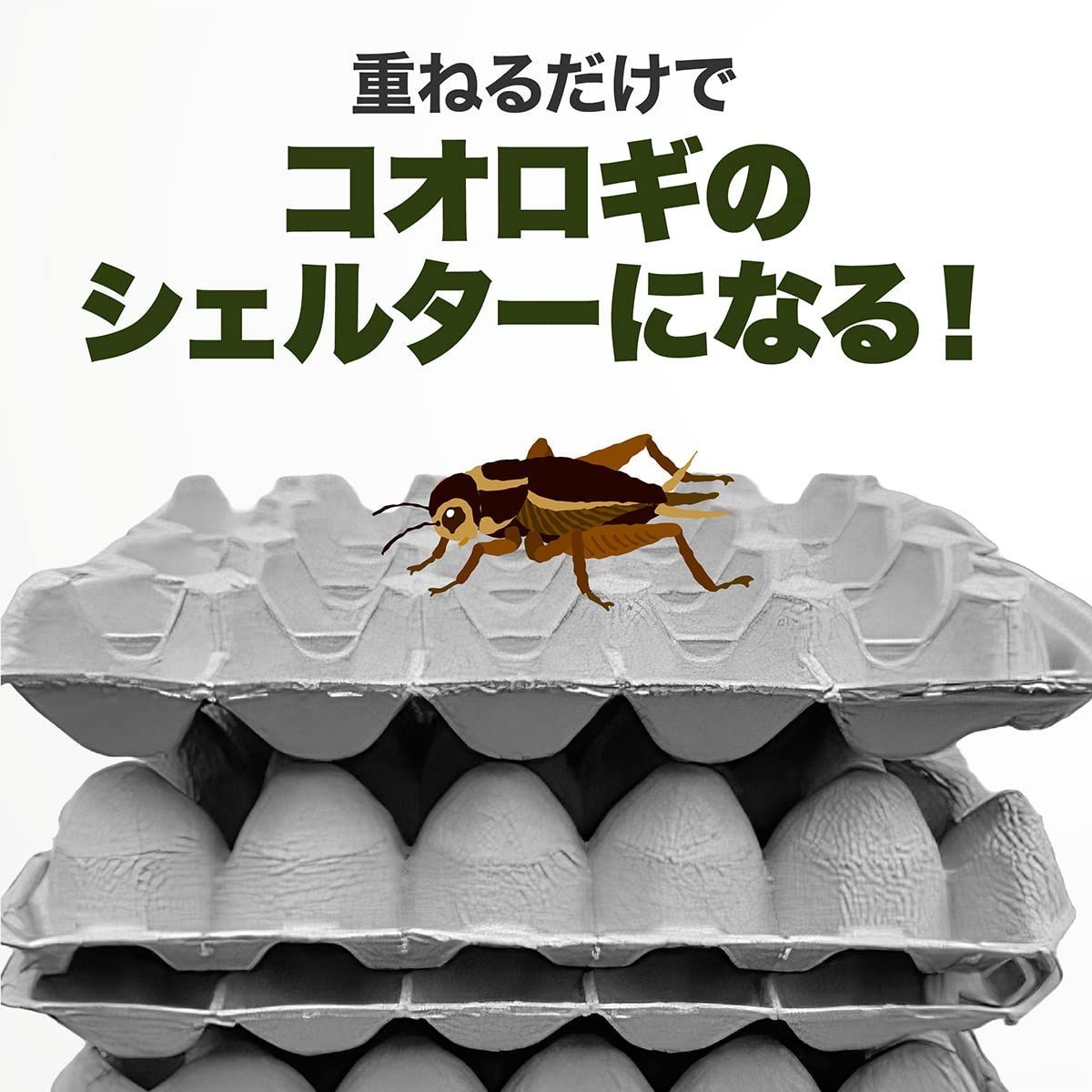 Amazon | アクリル給餌コオロギ飼育係、ケアキット爬虫類タンクボックス昆虫繁殖観察用アクリルクリケットケアキット(L) | CHICIRIS |  飼育ケース・ケージ 通販