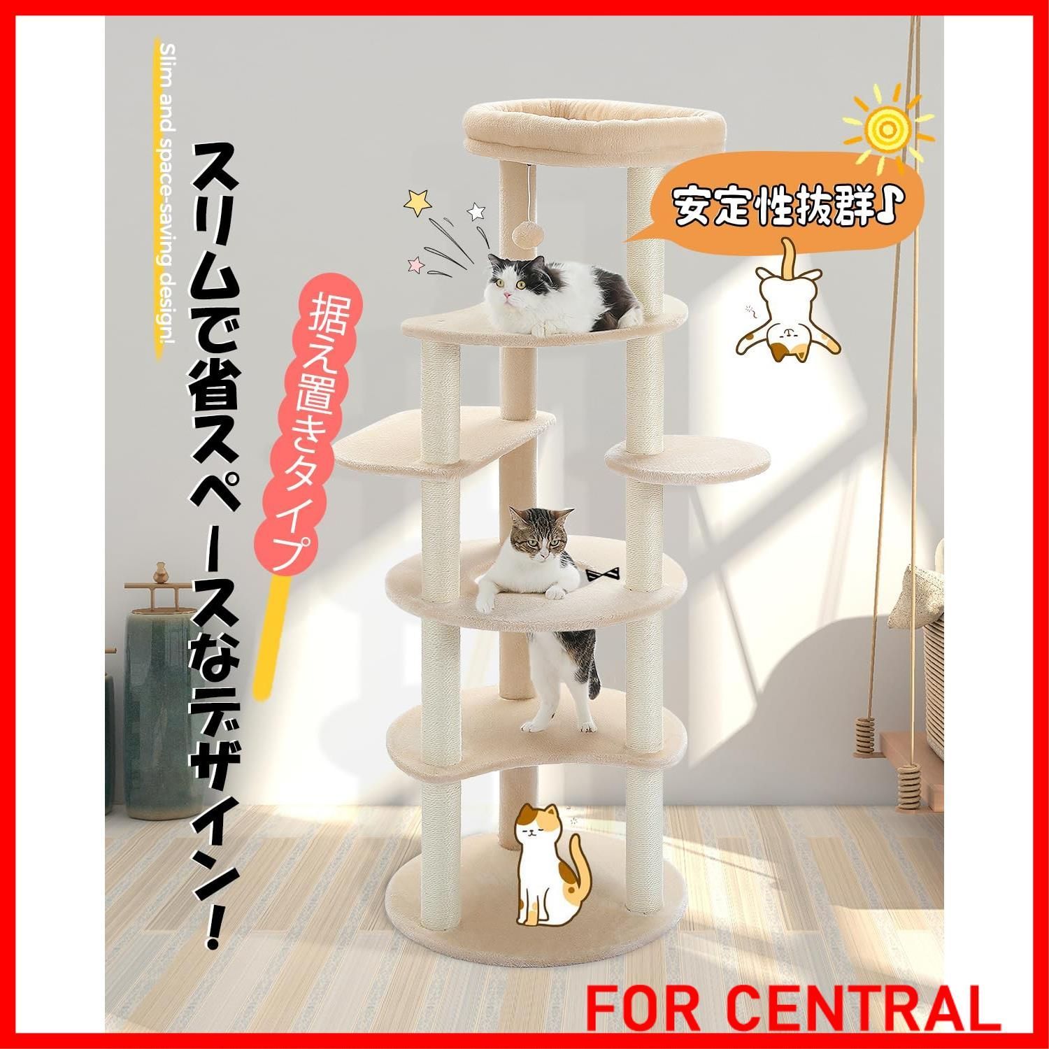 猫ステップ