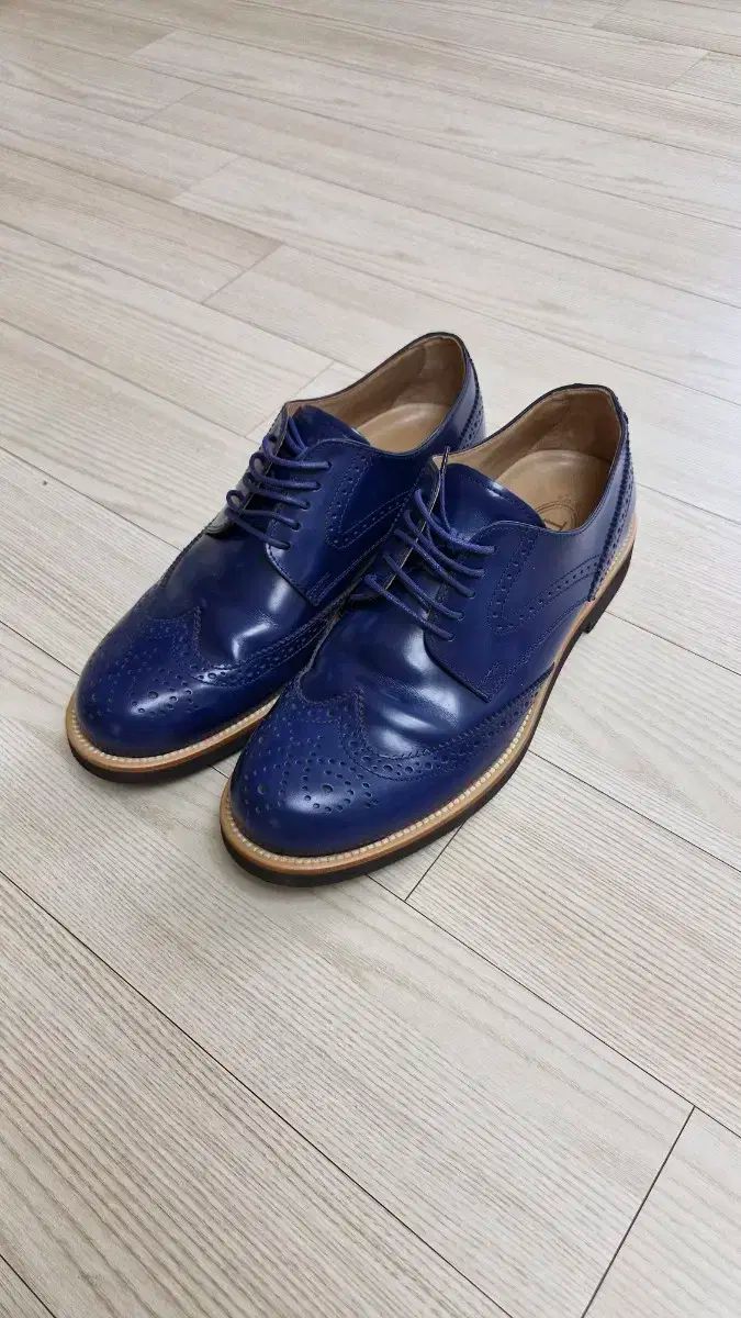トッズメンズシューズ サイズ 6 260 |ネイビー