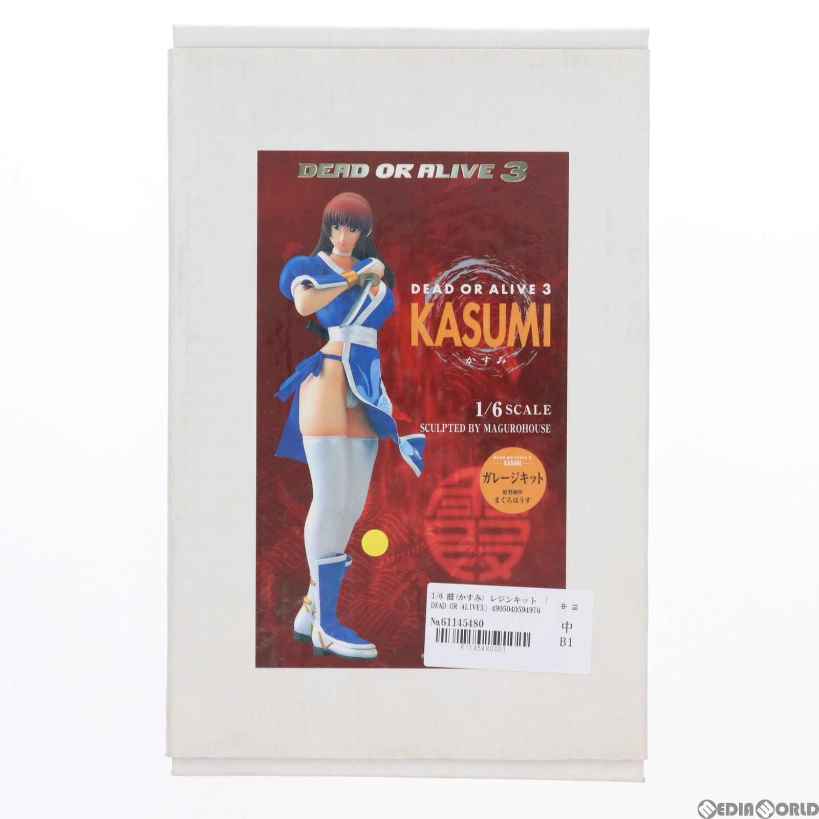 霞　かすみ デッドオアアライブ　Dead or Alive　ガレージキット 霞(かすみ) DEAD OR ALIVE 3(デッドオアアライブ3) 1/6 ガレージ