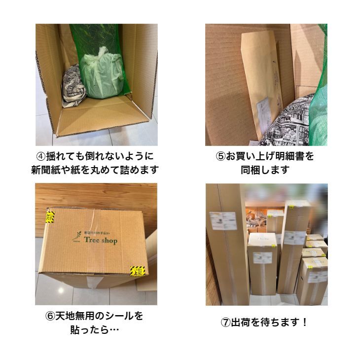 メルカリ便発送‼︎　リップルエフェクト　5号鉢付き発送‼︎ 梱包の仕方 - メルカリ