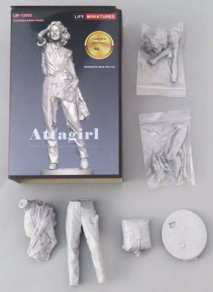 LIFE MINIATURES Attagirl 1/12 レジンキット LIFE MINIATURES Attagirl 1/12 レジンキット 楽天市場】1/12 レジン