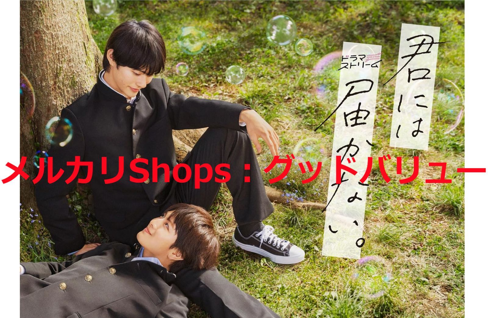 新品未開封☆君には届かない。 DVD-BOX [DVD] 前田拳太郎 (出演), 柏木 