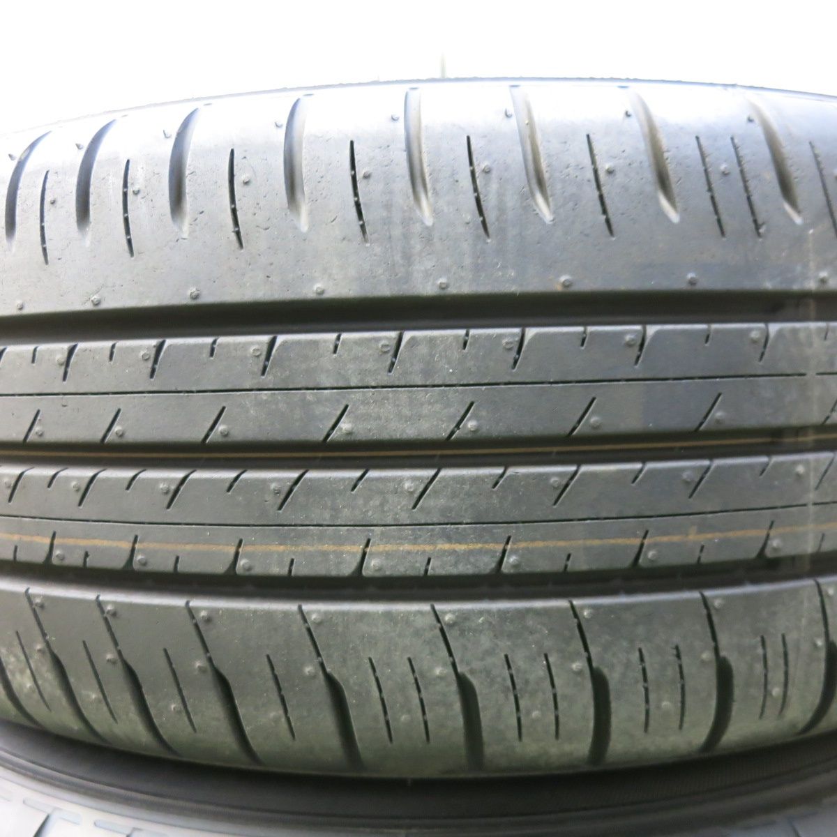 エナセーブ EC300