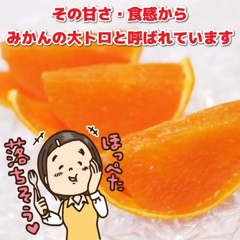 みかん 愛媛産 特に訳あり せとか 箱込2.0kg（外皮の傷・シミ多め）（2月中旬～ご注文順に順次発送）※沖縄・離島・北海道は発送不可