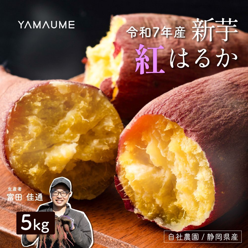 静岡県産 ”さつまいも” 紅はるか 5kg 【公式通販】