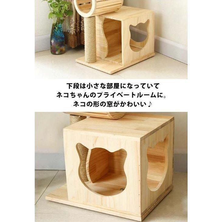 猫ハウス