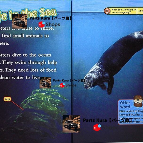 【新品】National Geographic kidsレベル2【25冊】 National Geographic Kids level2 25冊 - メルカリ
