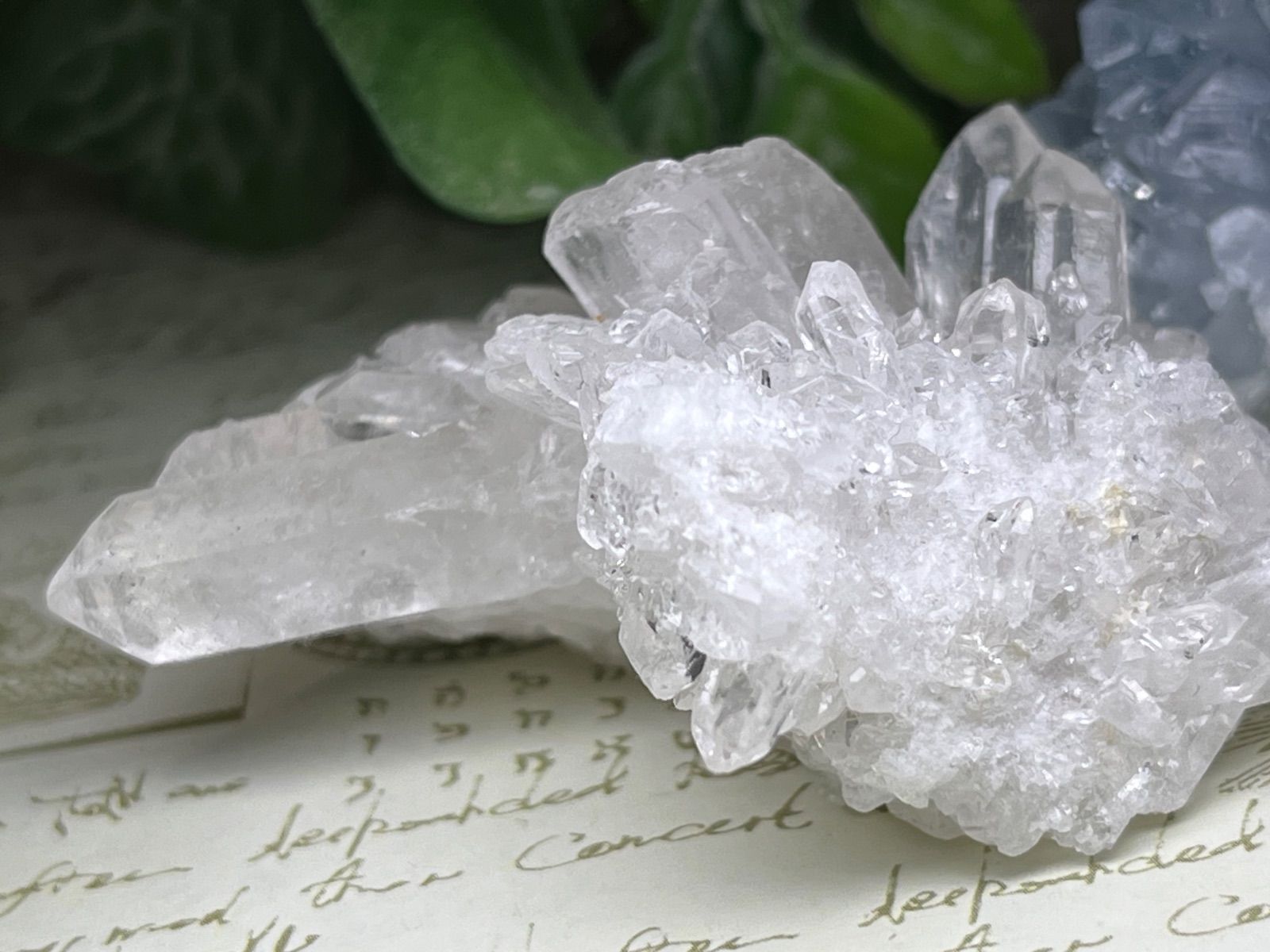 高品質✴︎ブラジル ミナスジェライス州トマスゴンサガ産 水晶クラスター✴︎大量DT 高品質✴︎ブラジル ミナスジェライス州トマスゴンサガ産 水晶