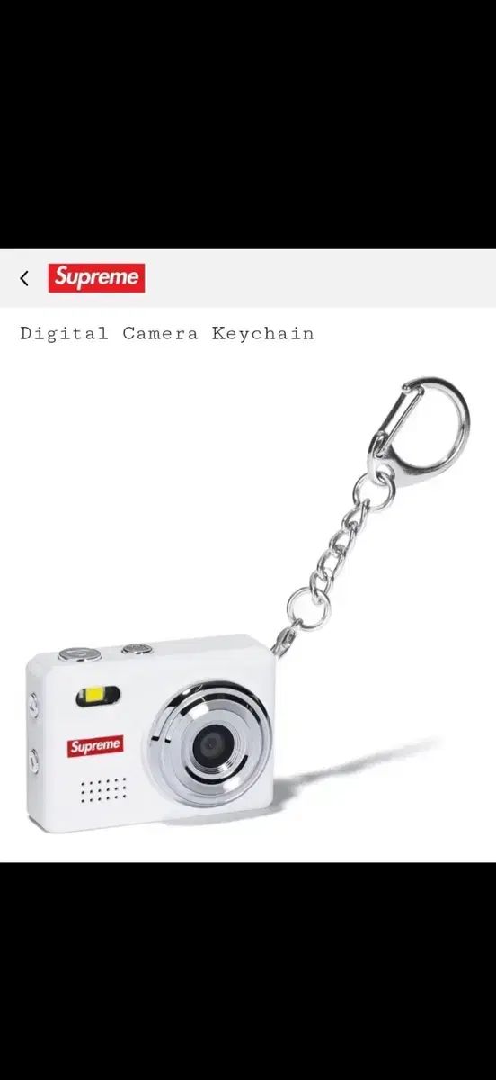 シュプリーム デジタル カメラ キーチェーン