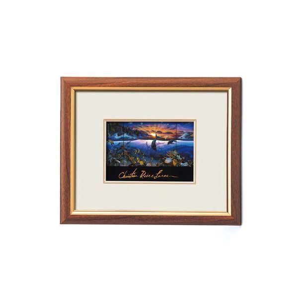 イエジー・スコリモフスキ DVDs 3枚組 映画 不戦勝 身分証明書 手を挙げろ